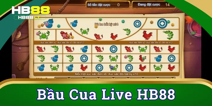 Bầu Cua Live - Trải nghiệm cá cược trực tuyến an toàn tại HB88