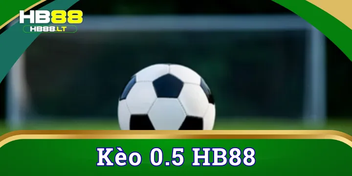 Kèo 0.5 - Sự lựa chọn cá cược bóng đá hoàn hảo nhất hiện nay 