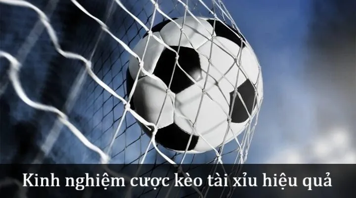 Kinh nghiệm cá cược Kèo tài xỉu