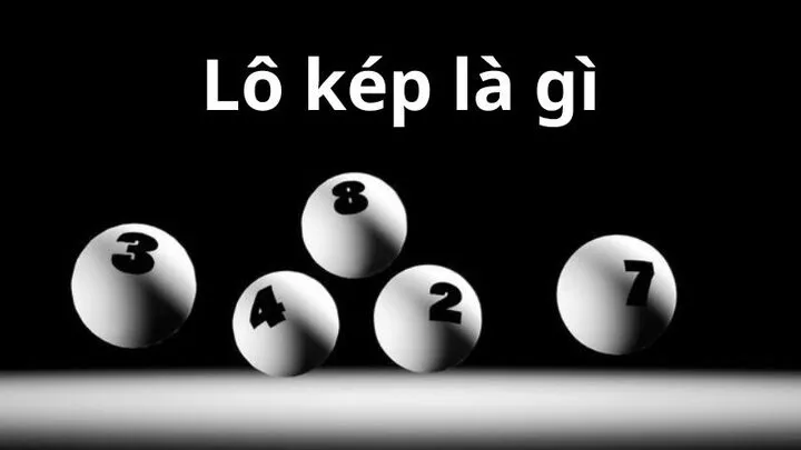Giới thiệu về Lô kép trong cá cược lô đề