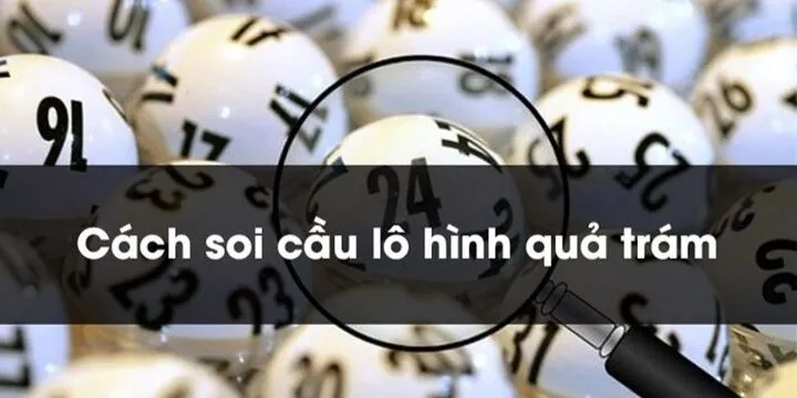 Lô quả trám là gì?
