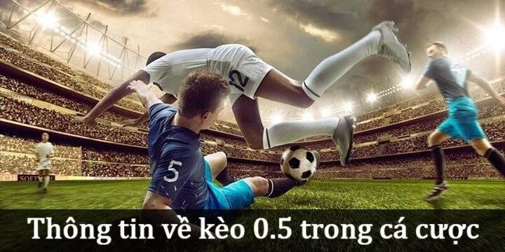Thông tin về Kèo 0.5 trong cá cược HB88